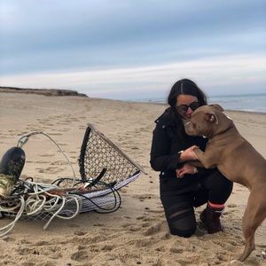 Meet your Posher, Molly